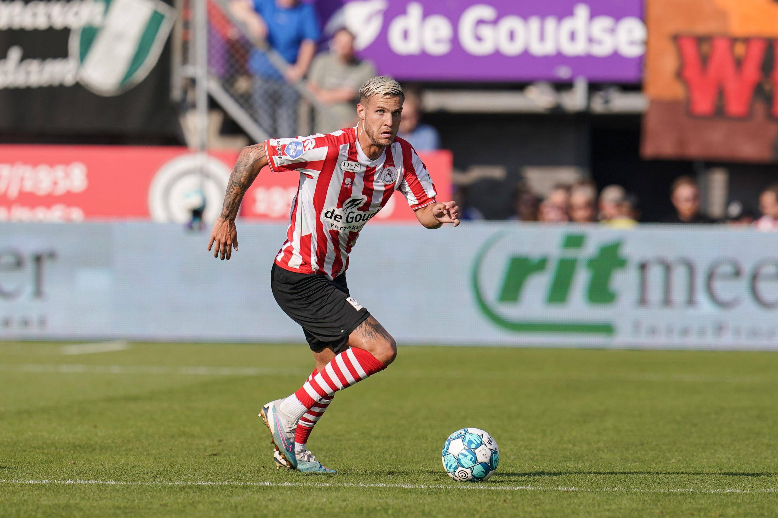 调研显示 调研显示