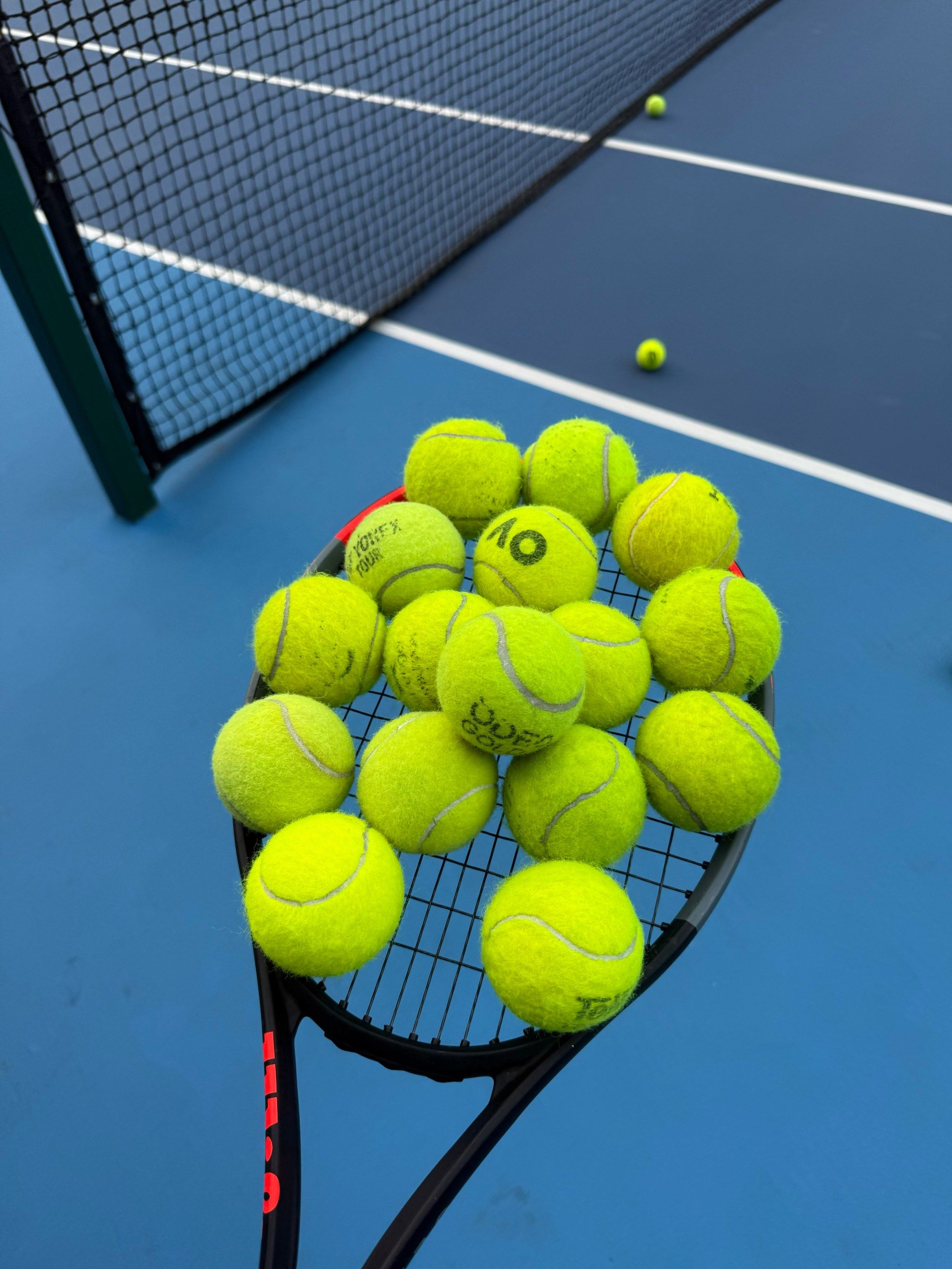 帮助红军从 帮助红军从