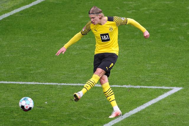 游泳的激情 游泳的激情