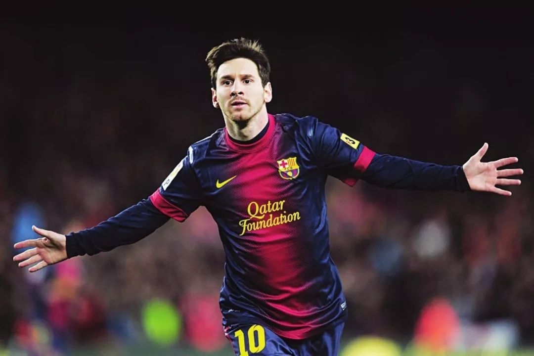 马匹营养 马匹营养